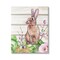 Stupell Industries Spring Flower Garden Country Rabbit Canvas Wall Art